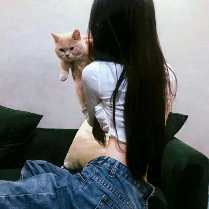 高清精选