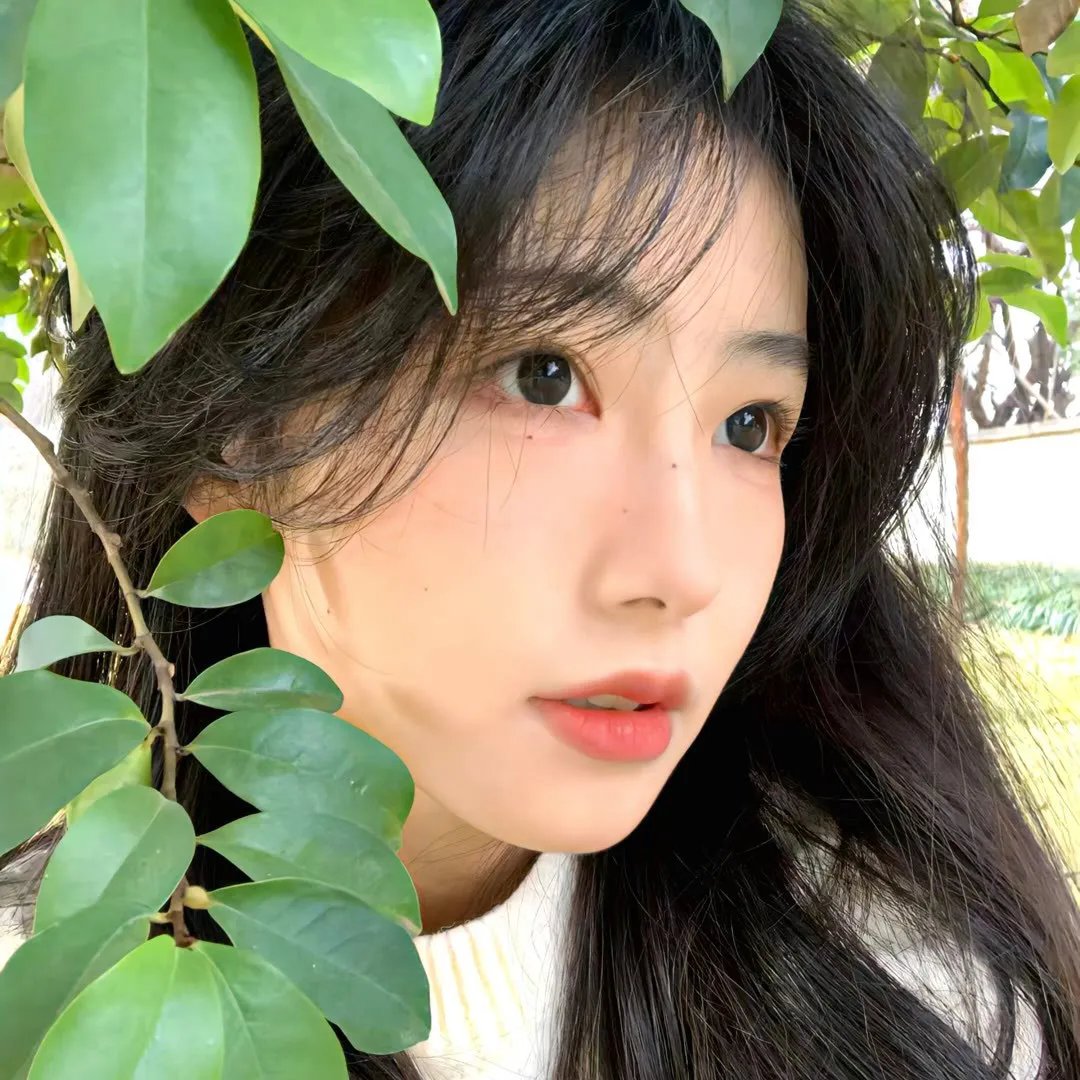 欧美影库